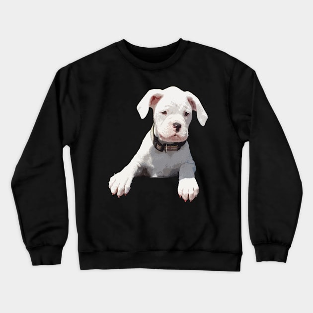 Adorable White Boxer Puppy Crewneck Sweatshirt by 3QuartersToday